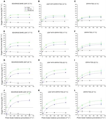 Temperature Effects on Leaf and Epiphyte Photosynthesis, Bicarbonate Use and Diel O2 Budgets of the Seagrass Zostera marina L.